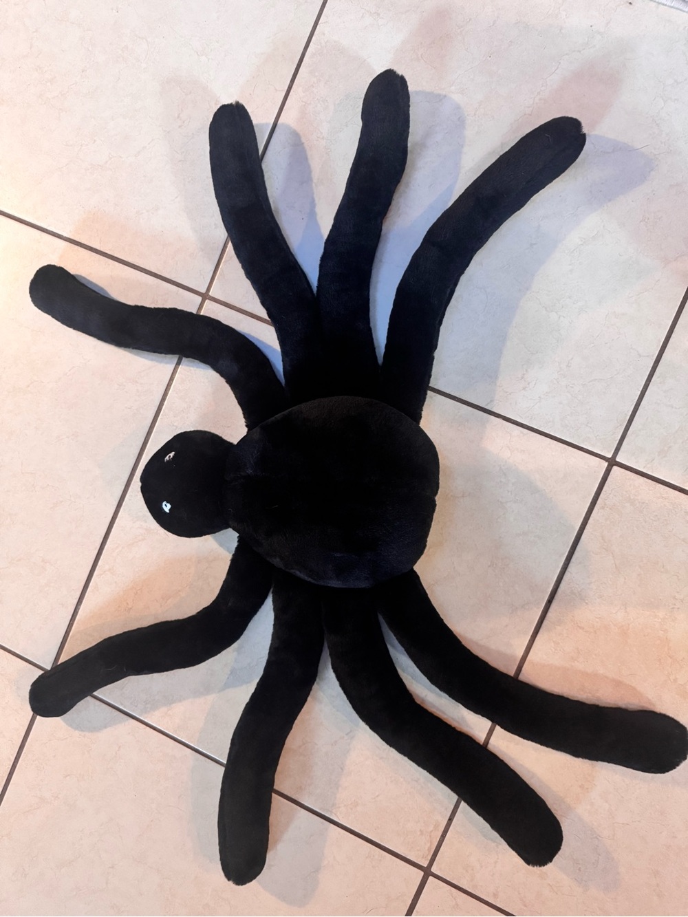 Pottery Barn Black Plush Spider Holiday Pillow